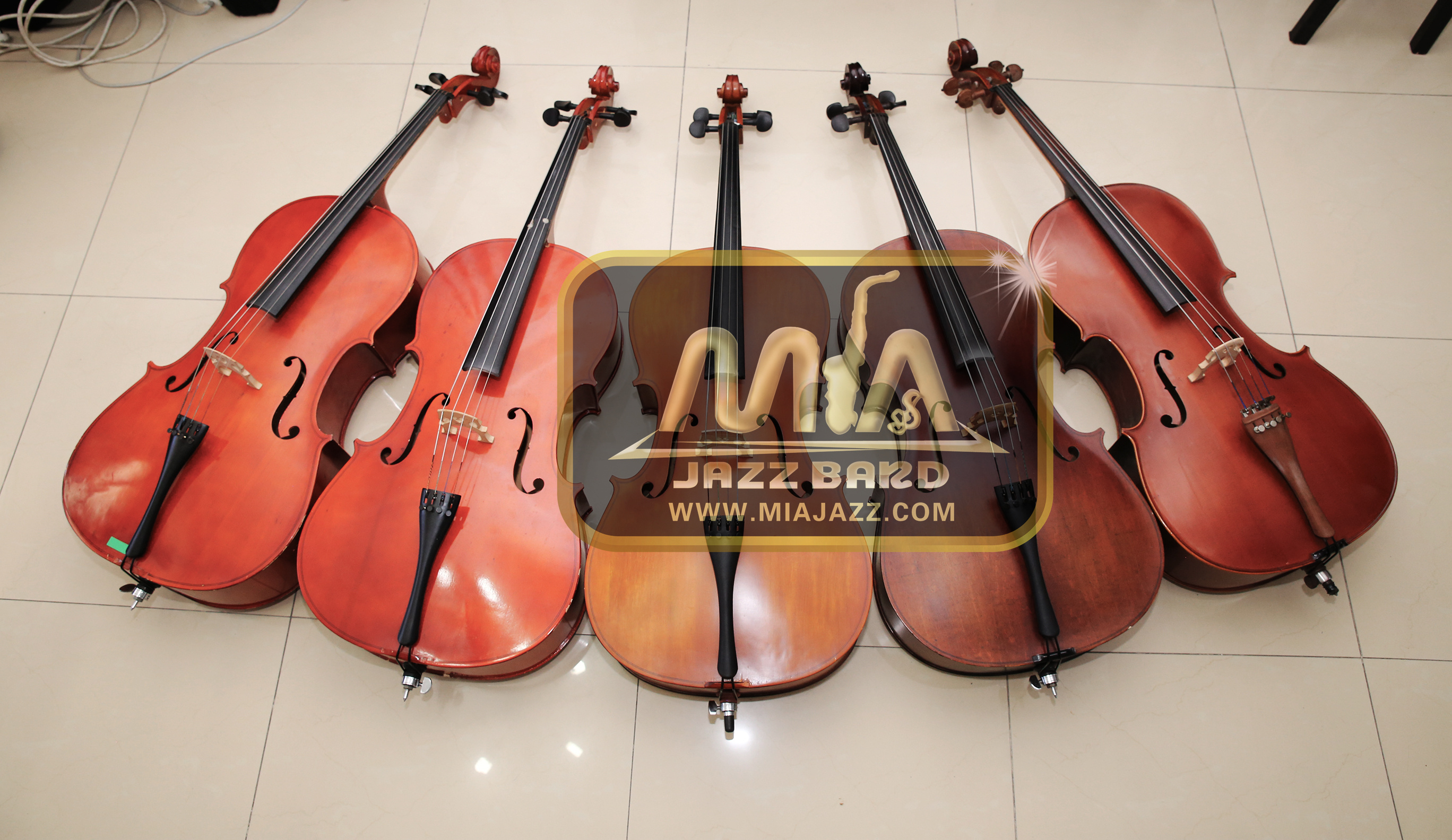 Shanghai Cello Rental Cello Rental Adult 4 4 Whole Piano Performance String Short Rental