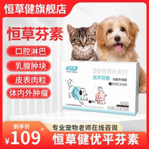 Hengcaofensu Youpingfensu Beef Tablets Hengcaojian for the consolidation and hyperplasia of cat and dog cell breast tumors after surgery