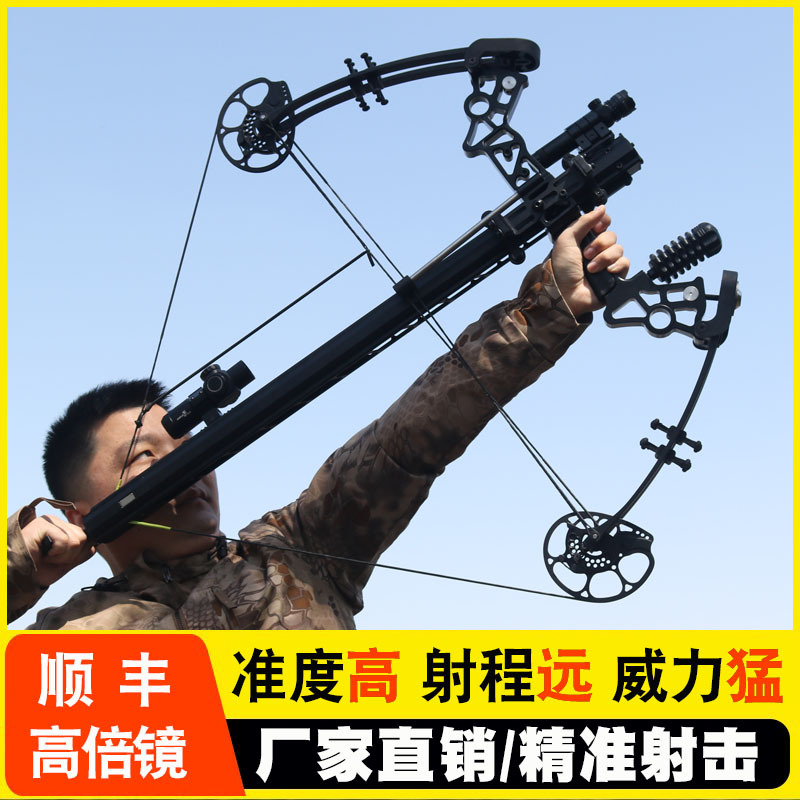 New Compound Bow with Dual-Purpose Bow and Arrow, Recurve Bow for Shooting Steel Balls, Slingshot for Adults, High-Precision Type