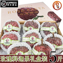 (S.F. Air) Hainan Rose Custard Apple Buddha Head Fruit Fresh Tropical Seasonal Fruit 5kg Gift Box