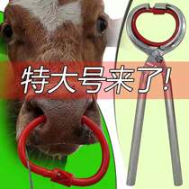 Cow nose pliers cow nose ring cattle perforation bolt cattle perforation breeding equipment equipment cow nose traction buckle cow nose ring