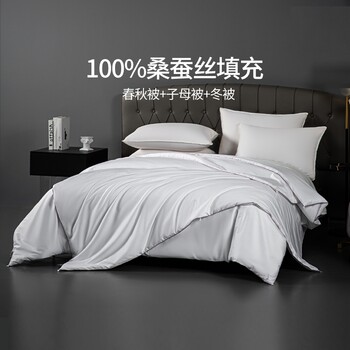 Oriental Selection National Beauty Scenery Silk Quilt 100% Mulberry Silk Long Fiber Cotton Filling National Standard Premium Product