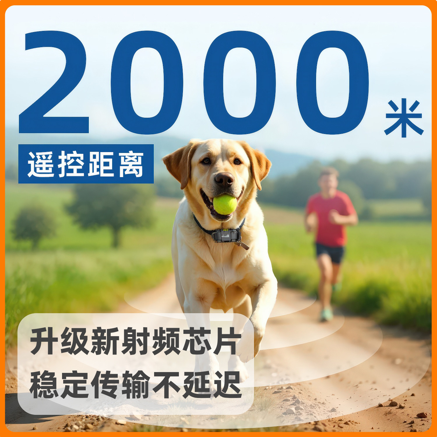 电击项圈真的能有效训狗吗？2026年养宠神器深度测评