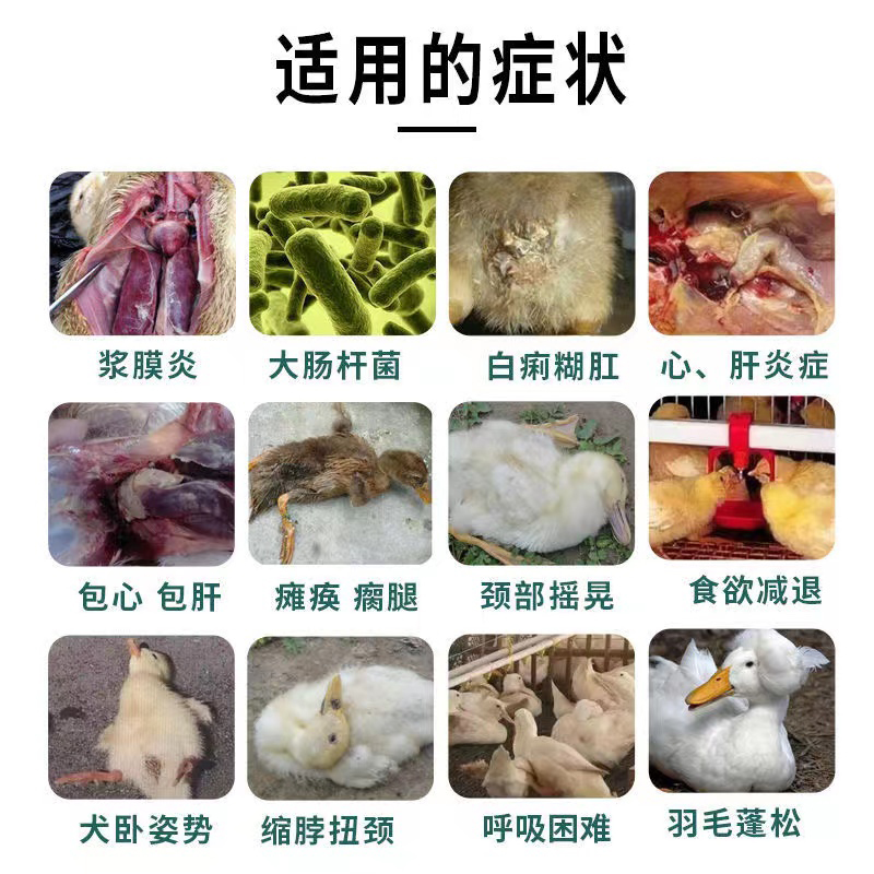 剖腹产50天能不能同床？医生建议收藏，小白必看，绝绝子！