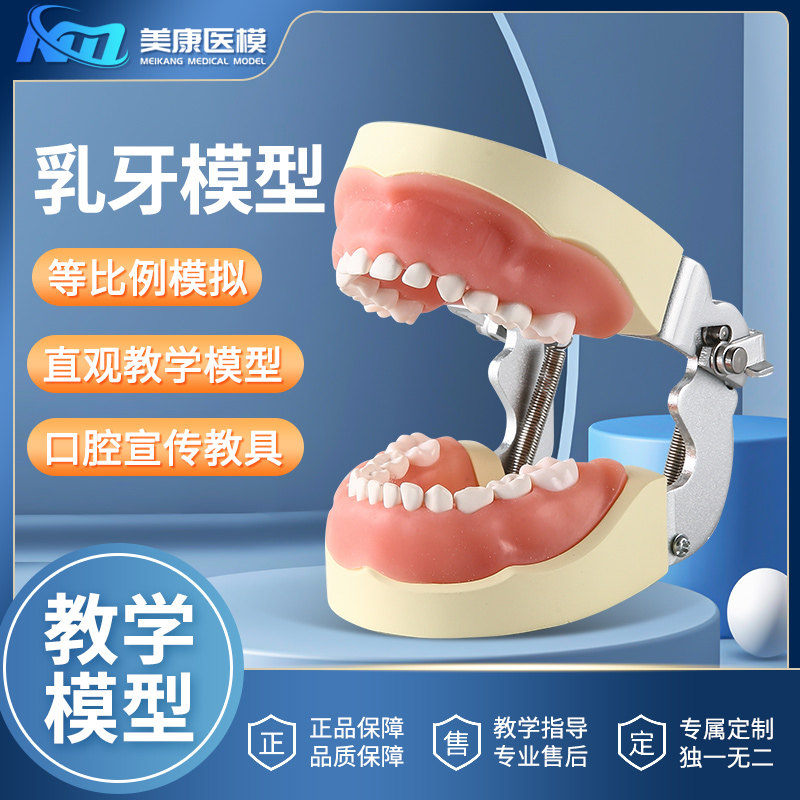 儿童乳牙模型口腔教学练习模型牙科口腔材料器械牙齿模型儿童牙模