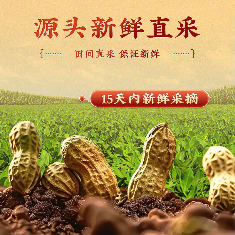 花生皮红衣血小板2024,五红汤补养气血的秘密武器?-花生衣-淘宝好物网