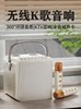 Microphone and Speaker Integrated Wireless Home Ktv Children's Karaoke Singing Outdoor Portable Bluetooth Speaker