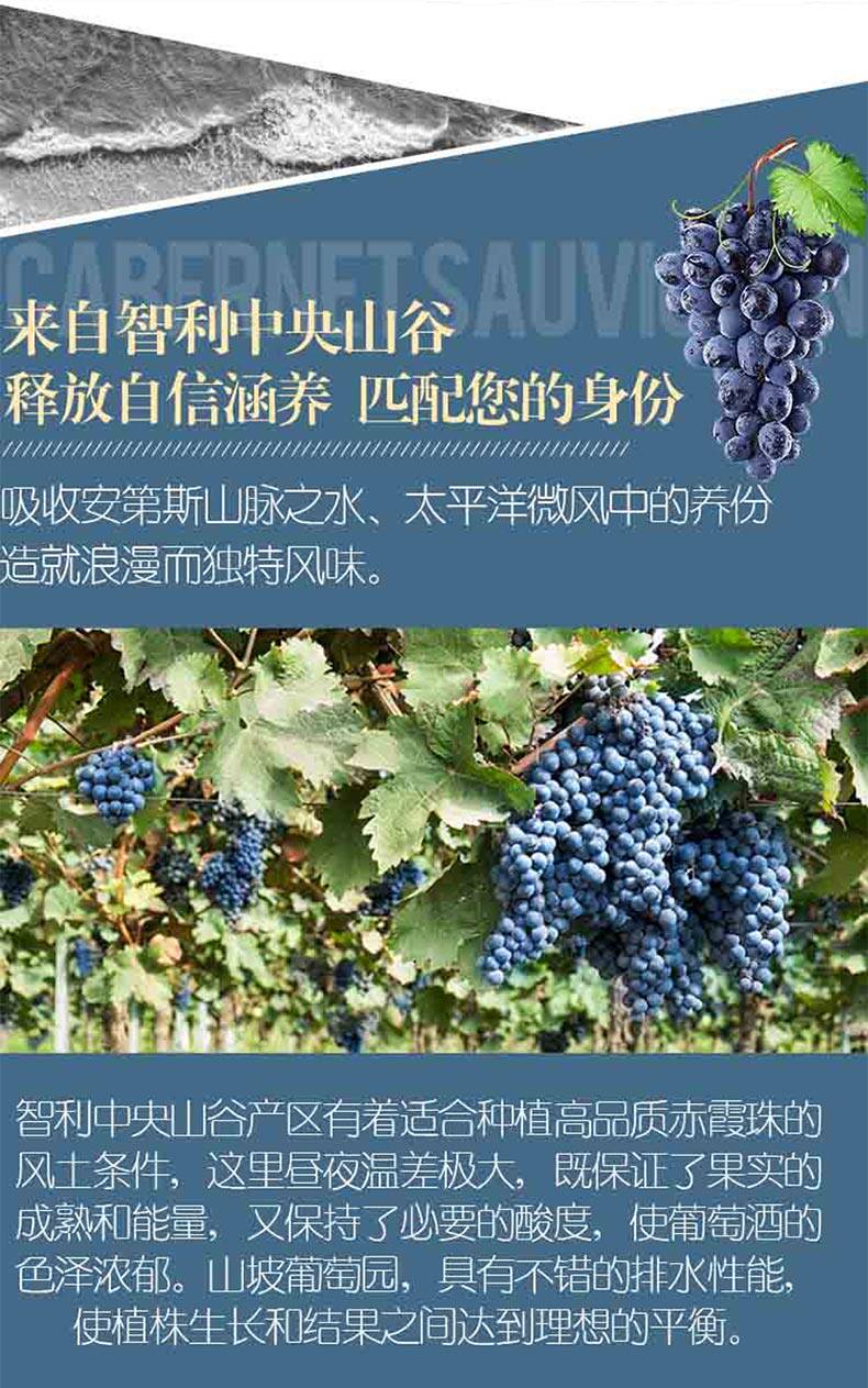 10-ffcd5ea5-68de-4a8e-8eba-3007ccec19eb.jpg 