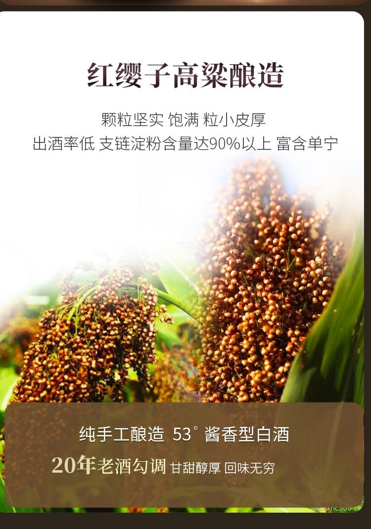 14-68a725ea5dc52.jpg