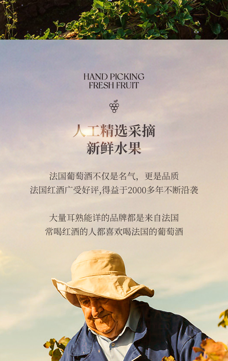 10-ddac109f-cf27-4df8-b719-0be04c1bc301.jpg 