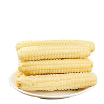 5 pounds of thumb corn a specialty of Yunnan Xishuangbanna fresh finger sweet glutinous corn sticky childrens breakfast vacuum