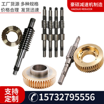 Worm gear non-standard custom high-speed worm gear worm drive stainless steel worm gear precision CNC mechanical reducer accessories
