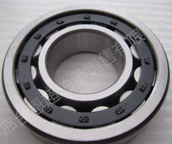 Harbin Authentic HRB Single-column Cylindrical Roller Bearing NJ2311 NJ2312 NJ2313 NJ2314