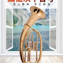 Weinuo flat key euphonium tuba instrument tuba horn euphonium band B flat brass instrument tuba
