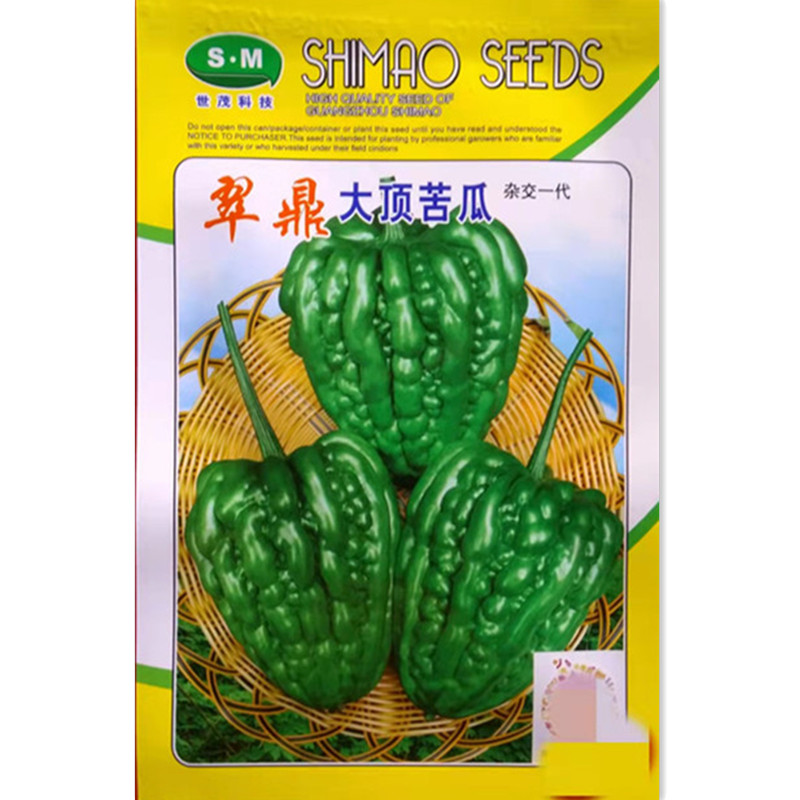   Cuiding large top bitter gourd seed (10 gr) Shimao quality large top bitter melon melon-shaped beauty yield high
