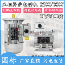 YS6312 6322 7112 7122 8022 90S2 three-phase asynchronous motor 380V aluminum shell motor