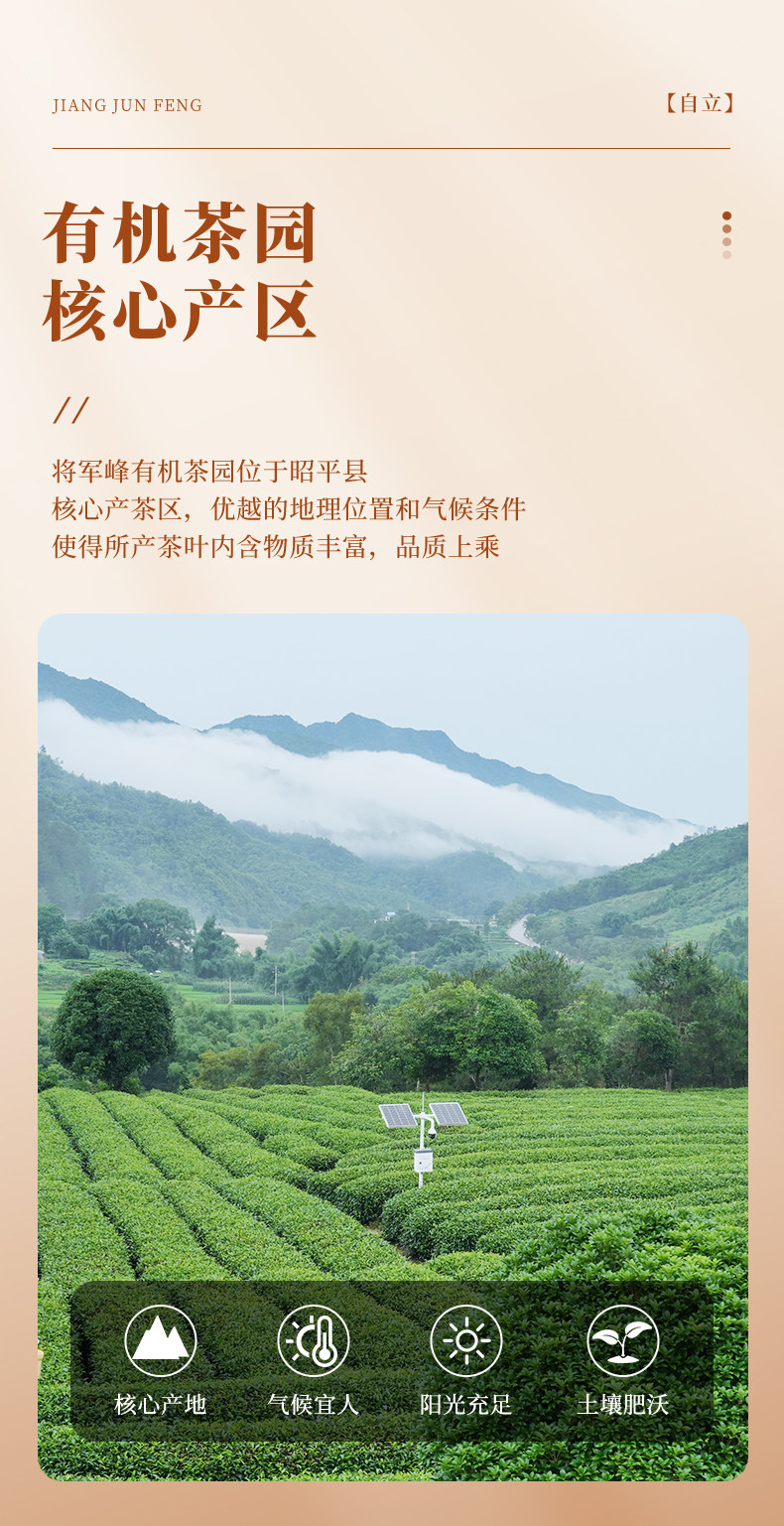 安享好物 安享A级红茶-将军峰有机 昭平红茶 国标 