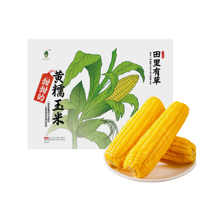 田里有草甜糯玉米家庭装东北黄糯鲜糯玉米非转基因粗粮杂粮早餐