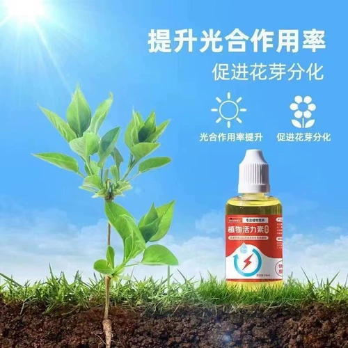 Растения универсальное цветение на основе жизненной силы, особая активация активации быстрого воскресения, пропаганда жидкости, бутоны, мясистые зеленые питательные вещества