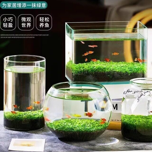 周周水族生活馆的LOGO