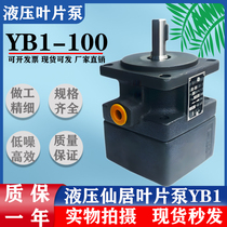 Hydraulic YB1 vane pump oil pump YB1-6 YB1-10 16 4 20 25 40 50 80 100 single and double