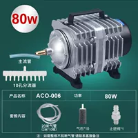 G76-80W006+20M Tube+Airstone+Check Calve