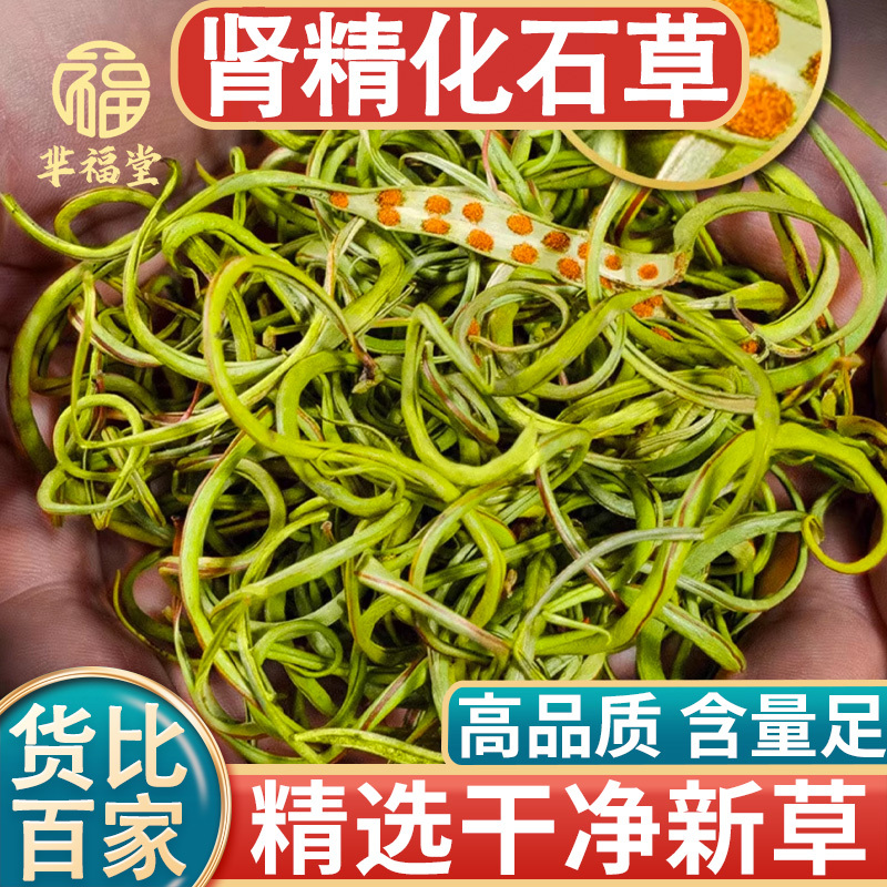 Fossil Grass Chinese Herbal Medicine 500g Changbai Mountain Wild Herbal Kidney-Strengthening Tea for Men, Flagship Store