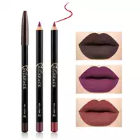 [12 Colors Cosmetic Lipstick Pen Matte Long Lasting Pigments]