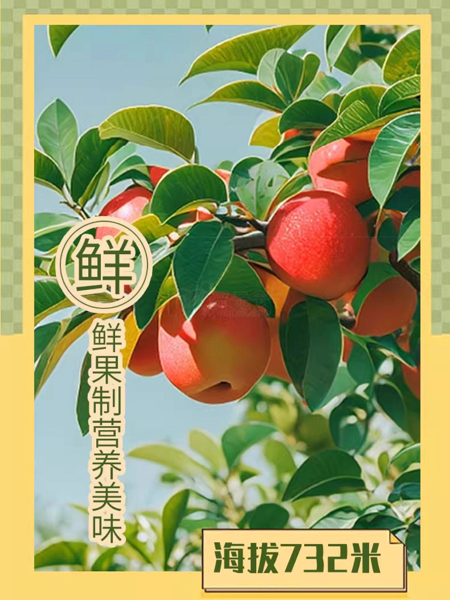 Freeze-Dried Apple Crisps, Additive-Free, Healthy Snacks for Pregnant Women and Kidsren, Nutritious Snacks, Ready-To-Eat Red Fuji Apple Slices