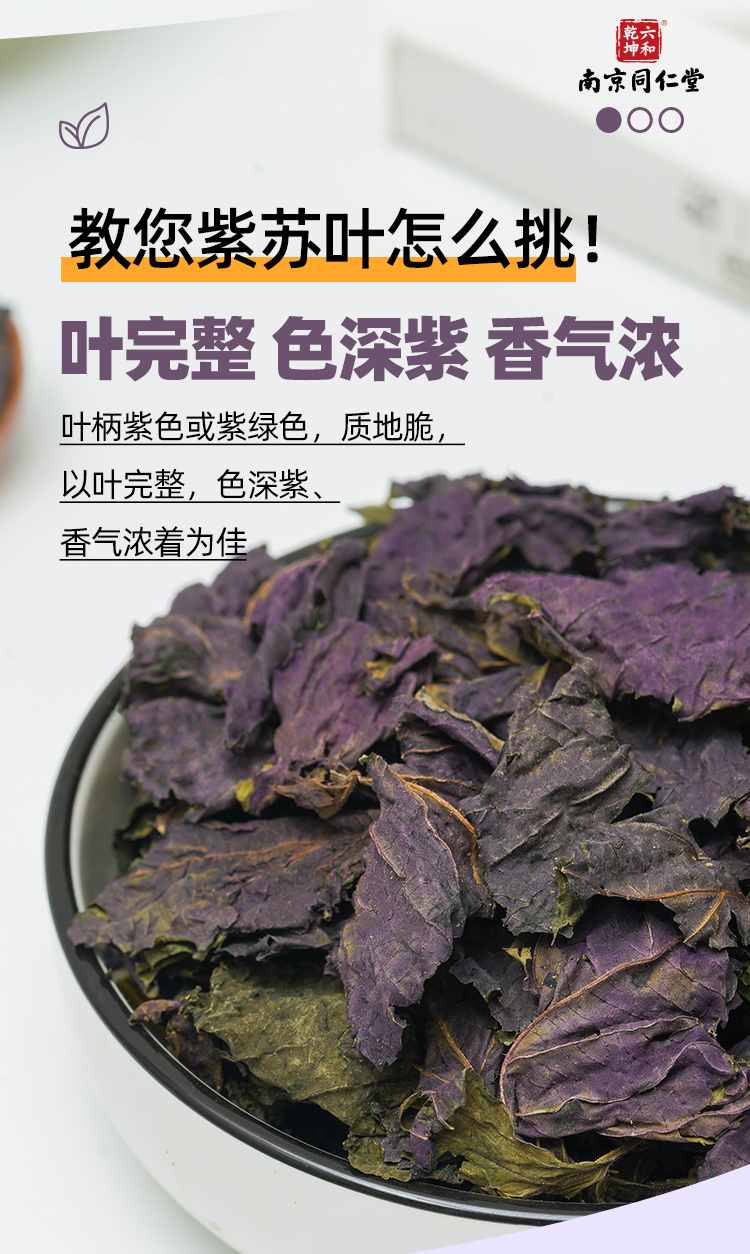 【中国直邮】南京同仁堂   紫苏叶  解表散寒  行气和胃   150g/瓶