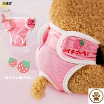 Pet puppy menstrual period Fadou Corgi physiological pants mother aunt towel Teddy Shiba Inu special small safety pants