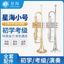 Brand new Xinghai trumpet in B flat for students adults and beginners universal trumpet instrument XT120
