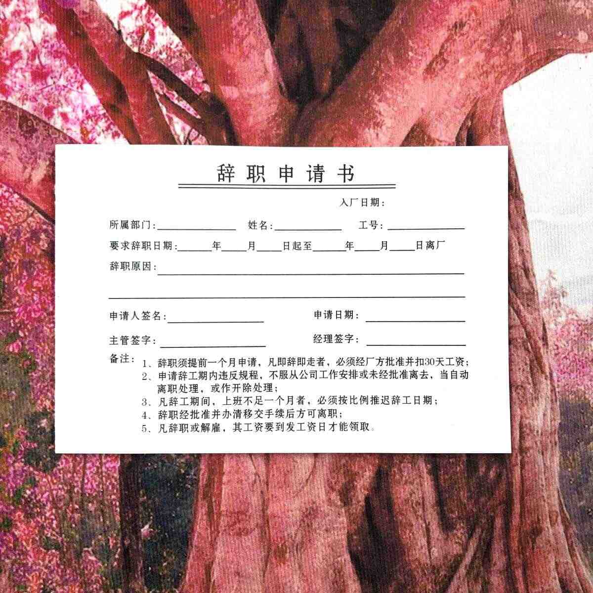 辞工书- Top 50件辞工书- 2025年12月更新- Taobao, image size:1200x1200