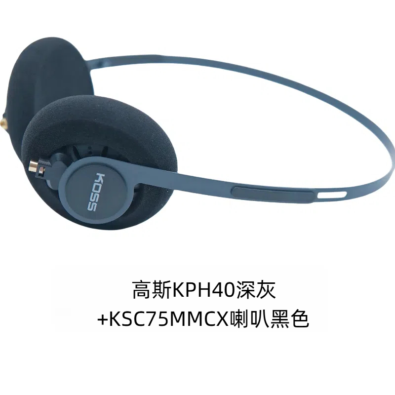 Kph40 Headband Silver/Dark Gray with Ksc75Mmcx Detachable Cable with Microphone Over-Ear Music Headphones