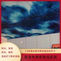 Ceiling cloth is waterproof insulated air-conditioned house rural tiled house rental house ugly and dust-proof decorative ceiling cloth