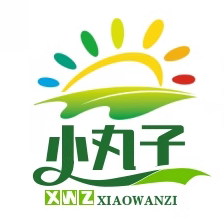 小丸子优品店的LOGO