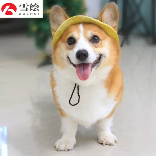 Милая шапка, летний декор для выхода на улицу, популярно в интернете