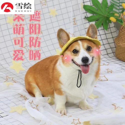 Милая шапка, летний декор для выхода на улицу, популярно в интернете