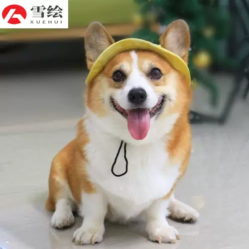 Милая шапка, летний декор для выхода на улицу, популярно в интернете