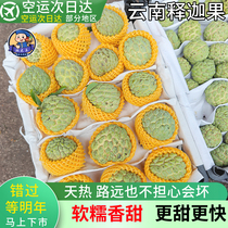 Yunnan sweet custard apple big eye fresh custard apple Buddha head mani fruit 5 pounds of rare fruits in season transported by air