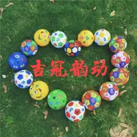 Интерактивный футбольный подарок Wandef Dog (цвет случайным образом отправляет его)