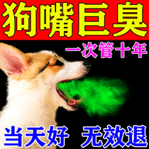 Ten years of no odor) dog mouth deodorizing mouthwash bad breath removal dog tooth calculus and odor oral anti-inflammatory spray