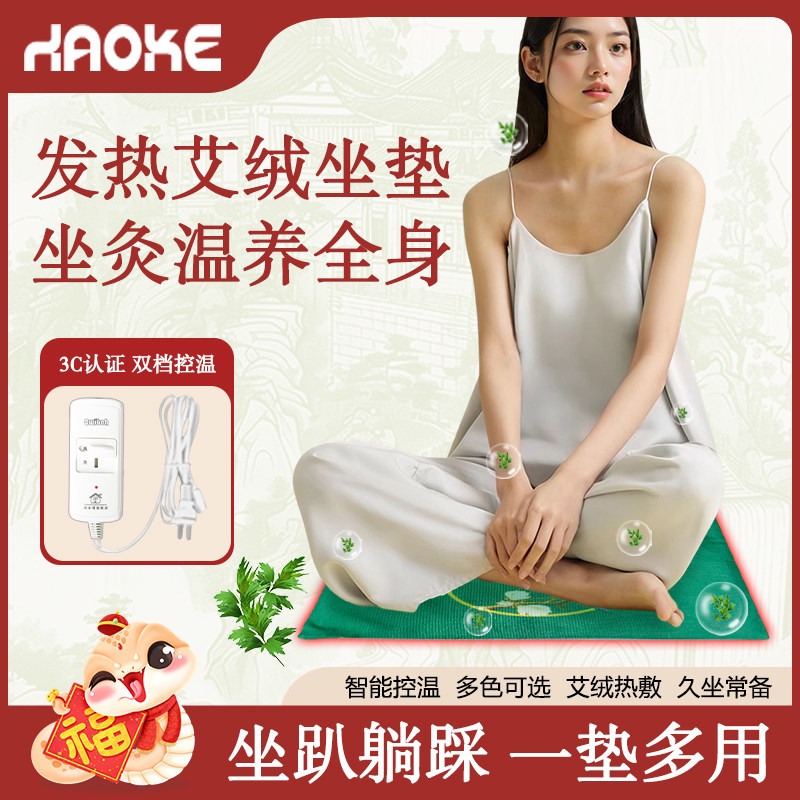 加热坐垫小电热椅子垫家用艾灸座垫子非电褥子椅垫办公室发热坐毯