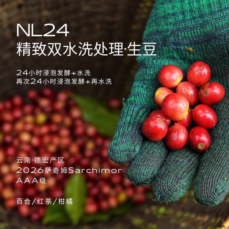 Nl24 Yunnan Dehong Coffee Estate's Exquisite Double-Washed Aaa Sarchimor Seasonal Specialty Green Beans