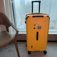 Имбирь [недавно обновленная бактериостатическая либу+экспортировать японское судно]