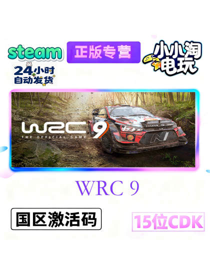 Steam Genuine World Rally Championship 9 Wrc9 Fia World National Region Pc Activation Code Cdkey