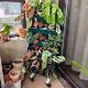 Balcony Vegetable Gardening Mobile Flower Stand Green Plant Wall Outdoor Floor-Standing Flower Pot Rack Multi-Layer Vegetable Planting Rack