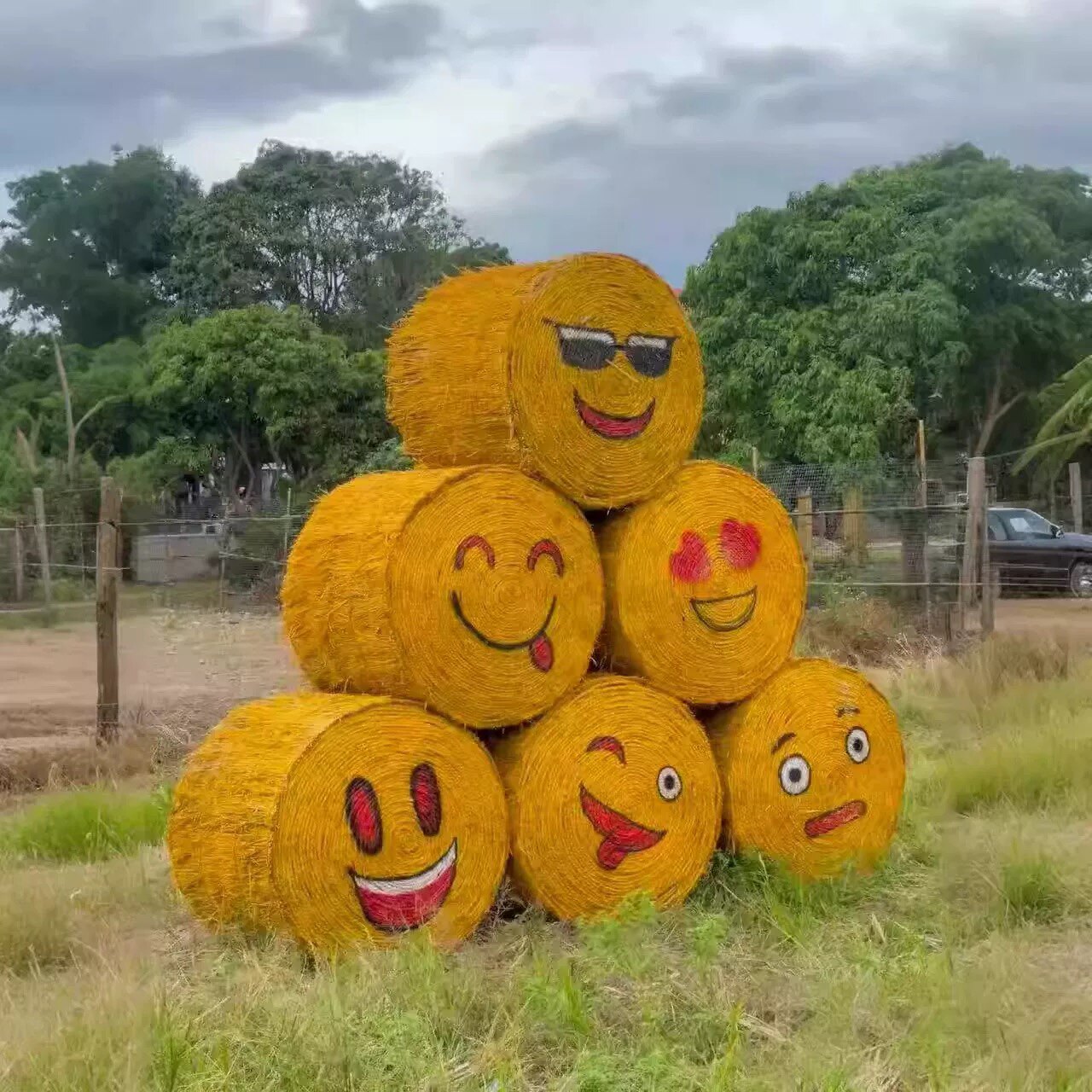 稻草人天然稻草手工制作