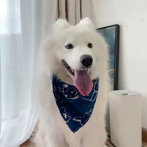 Треугольный треугольный Shiba Inu Corgi Water Scarf Scarf Scarf Scarf Sharf Dogled Dog Sharf