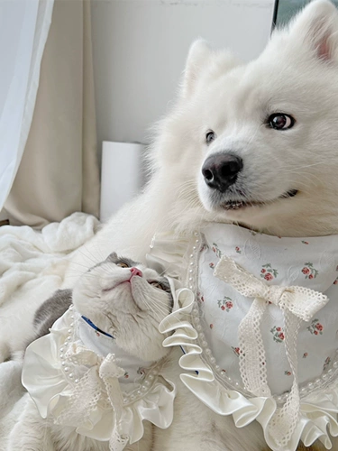 Оригинальный слюнявчик, шарф, аксессуар, семейный стиль, подходит для подростков